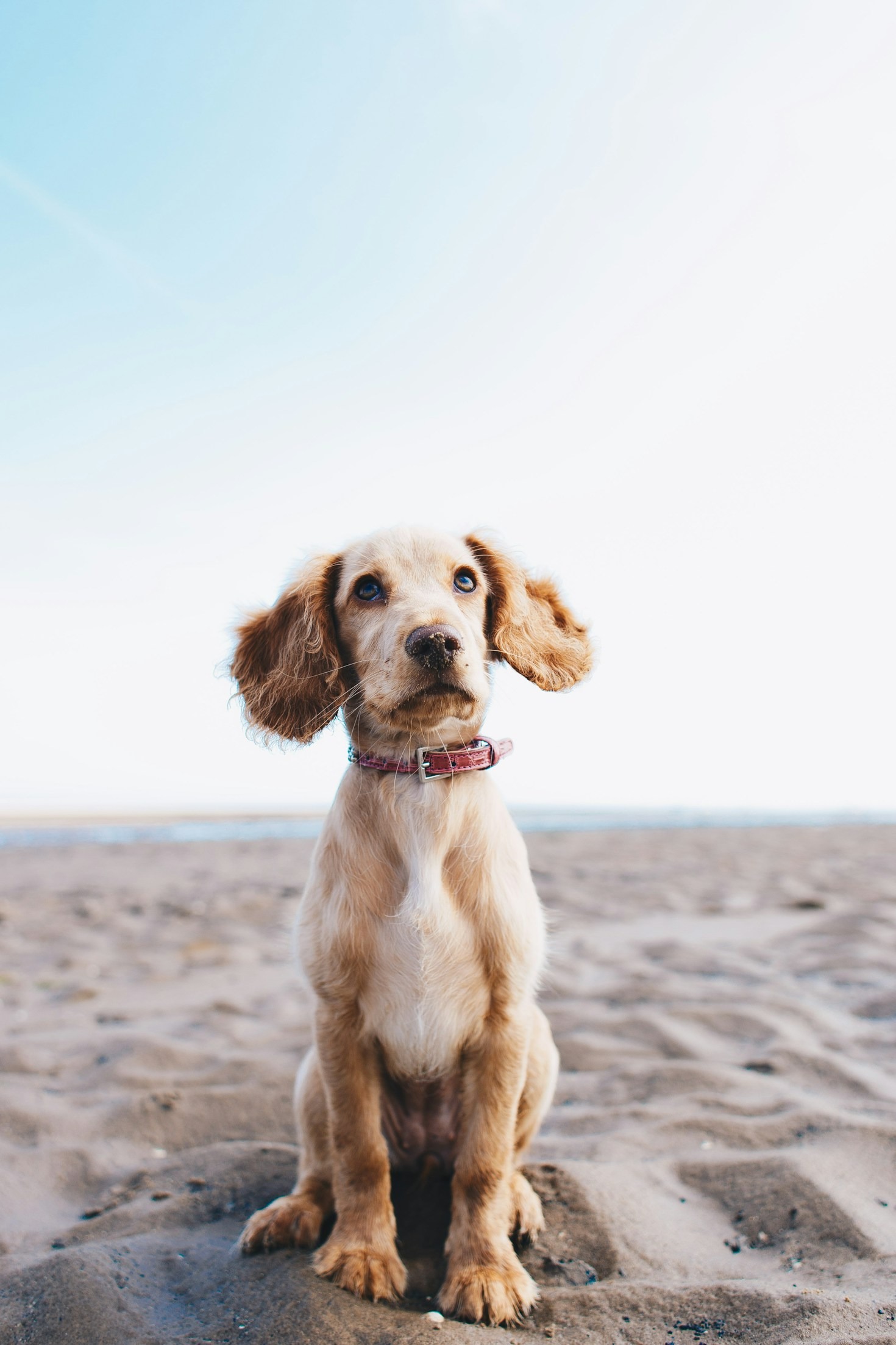 Trooper’s Favorite Spots in the Park